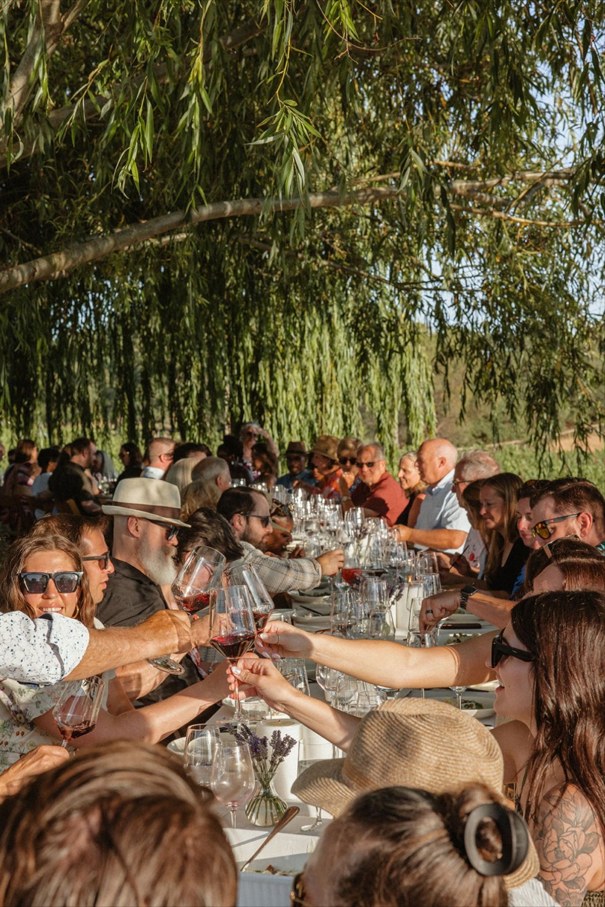 A company group at one long table under a willow tree, raising glasses of red wine at an outdoor winery dinner