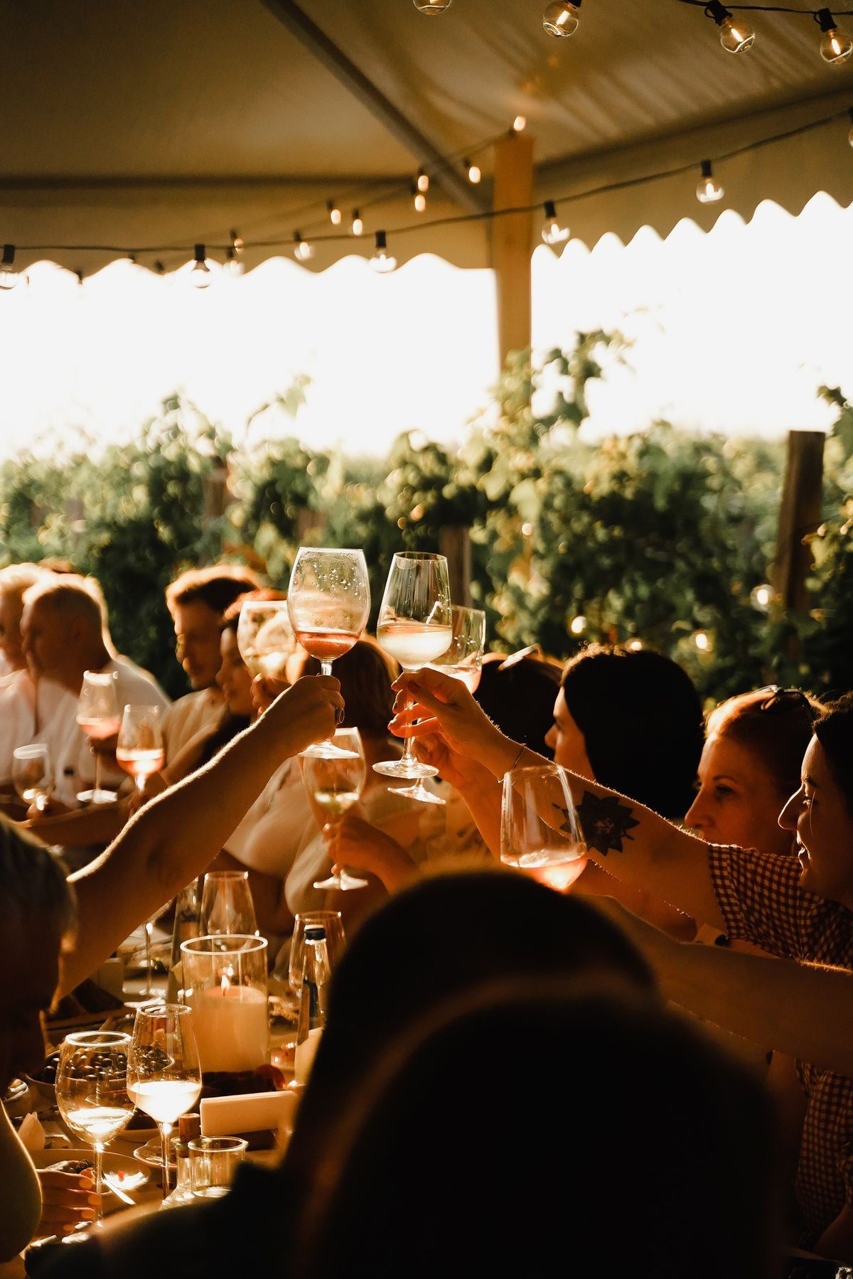 Colleagues raising glasses of rosé and white wine in a toast at a long table under string lights, vineyard behind them