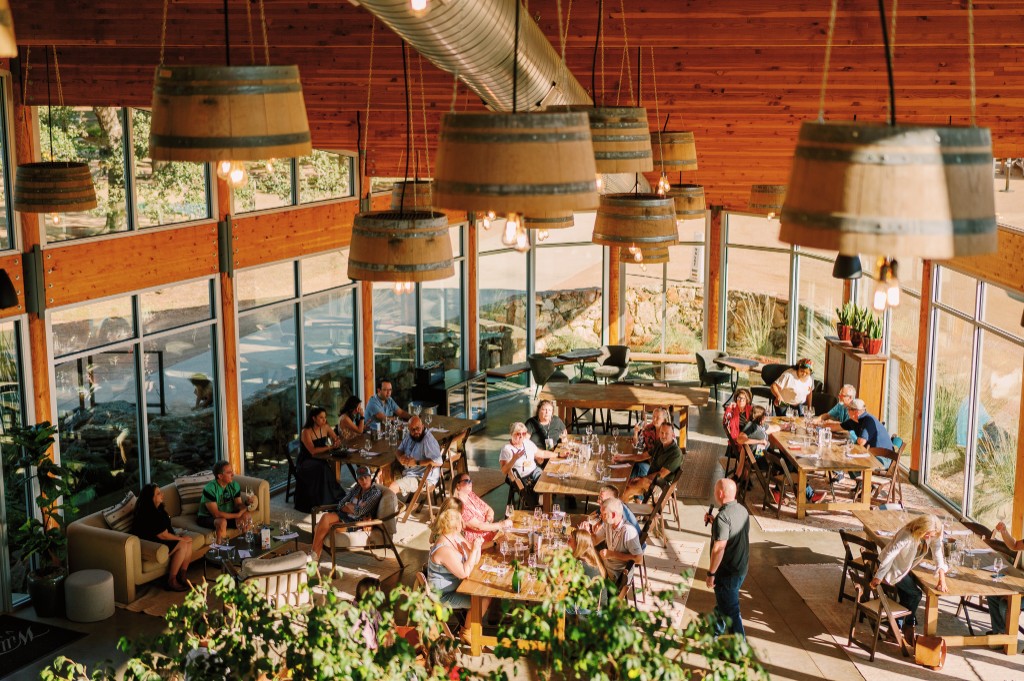 Modern winery tasting room with barrel lights and vineyard views